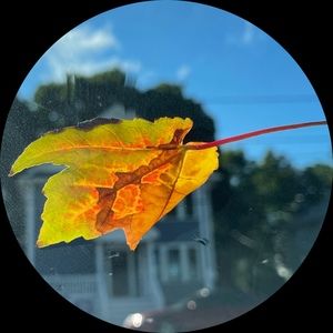 Meet your Posher, Ada